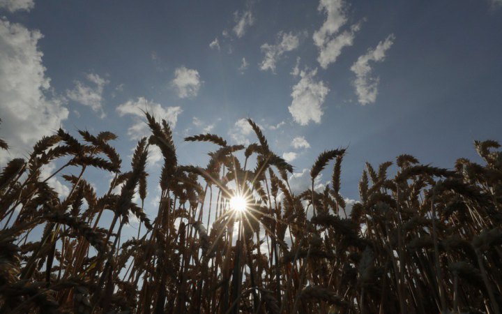 Після атак на українську зернову інфраструктуру Росія отримала проблеми з власними поставками зерна, - Reuters
