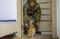 «Воєнний кабінет Юлії Тимошенко» презентував програму забезпечення військових ЗСУ службовим і власним житлом