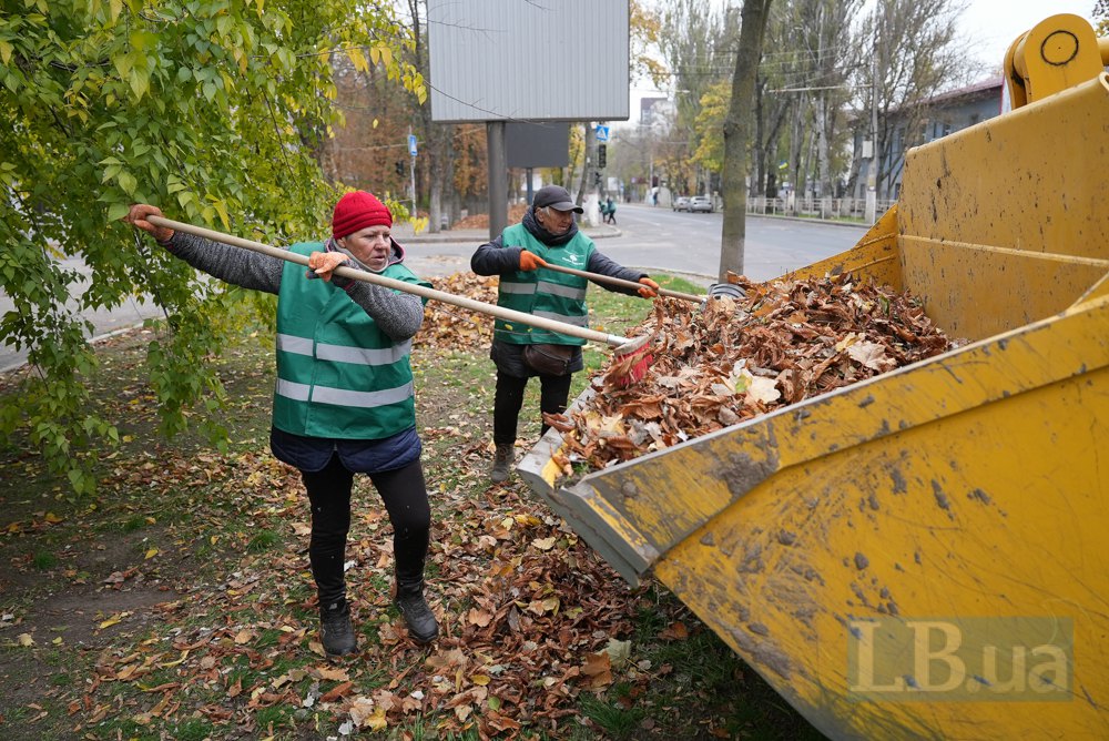 Таня закидає листя до ковша трактора