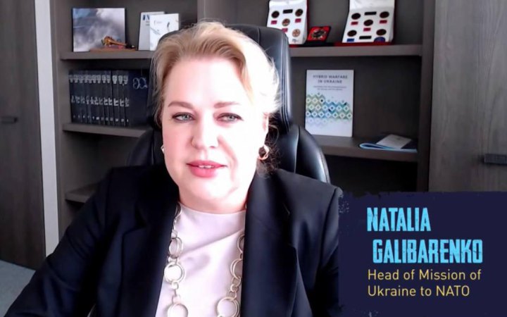 Україна хоче отримати запрошення до НАТО перед тим, як Байден покине пост президента США