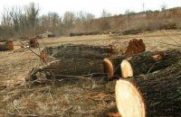 Шеф-кухаря кліматичного саміту ООН оштрафували на 100 тис. євро за незаконну вирубку лісу