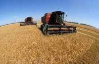 Експерти прогнозують падіння врожаю зернових майже на 20%