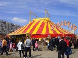 В  Запорожском цирке рухнула трибуна: пострадал ребенок