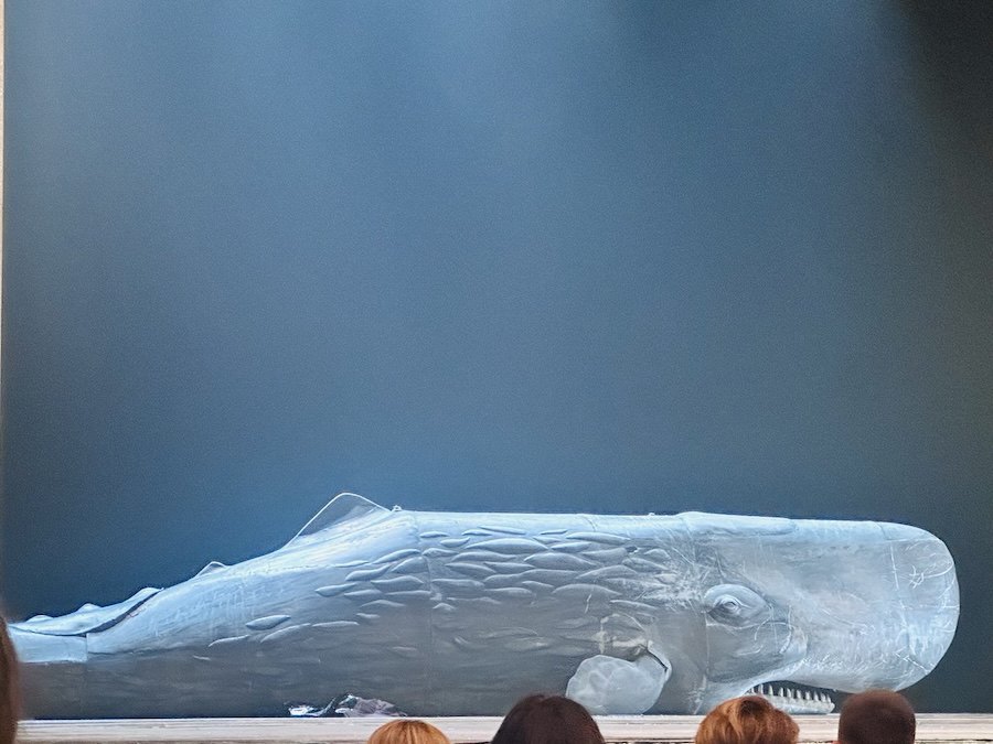 Той самий кашалот, який “грав” у всіх виставах і “заробив” мільйон гривень