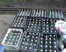 В Днепропетровской области закрыли 5 подпольных цехов по производству алкоголя