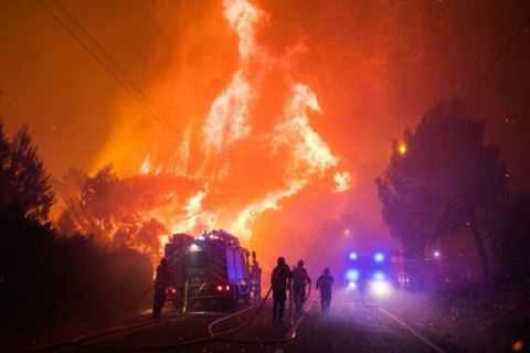 Масштабный лесной пожар начался в Португалии