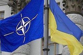 Янукович назначил главу миссии Украины при НАТО