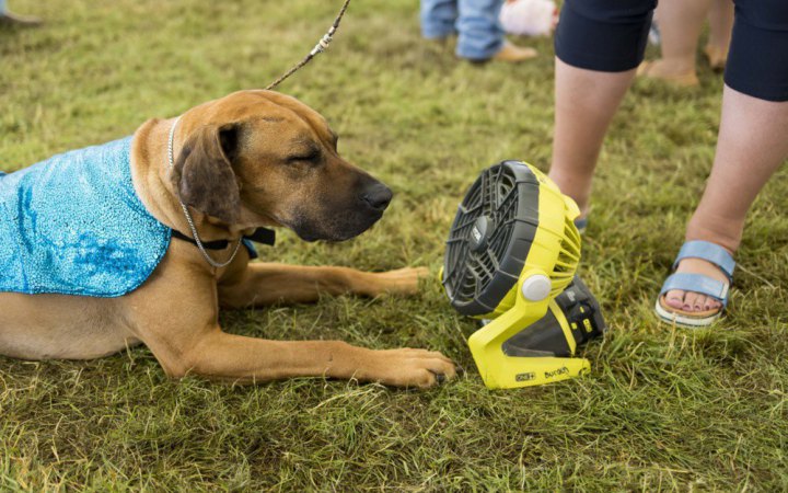 Завтра вдень в Україні буде до +28