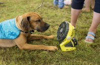 Завтра вдень в Україні буде до +28