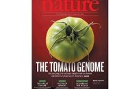 Ученые определили геном томата