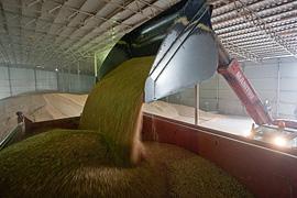 Квоты на экспорт зерна продлили до апреля 2011 года
