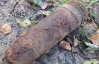 Под Черкассами нашли 250-килограммовую бомбу