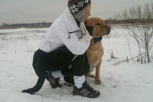 Тимошенко переживает за своих собак