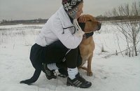 Тимошенко переживает за своих собак
