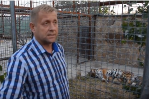 Директору ялтинского зоопарка на полгода запретили выезжать из России и Крыма