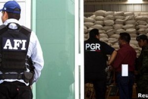 В Мексике конфисковали крупнейшую в истории страны партию наркосырья