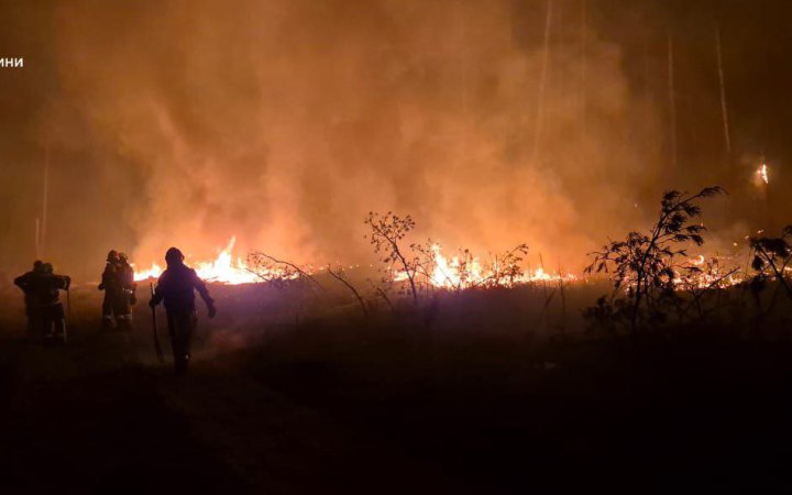 На Донечиині рятувальники понад 10 годин гасили пожежу лісу, спричинену обстрілом
