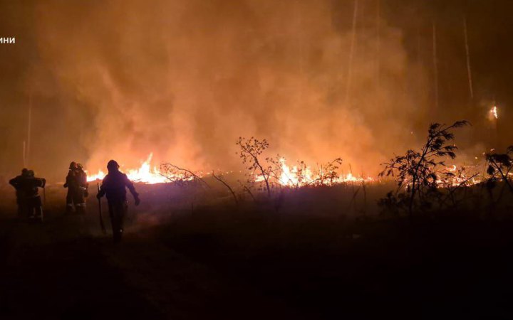 На Донеччині рятувальники понад 10 годин гасили пожежу лісу, спричинену обстрілом