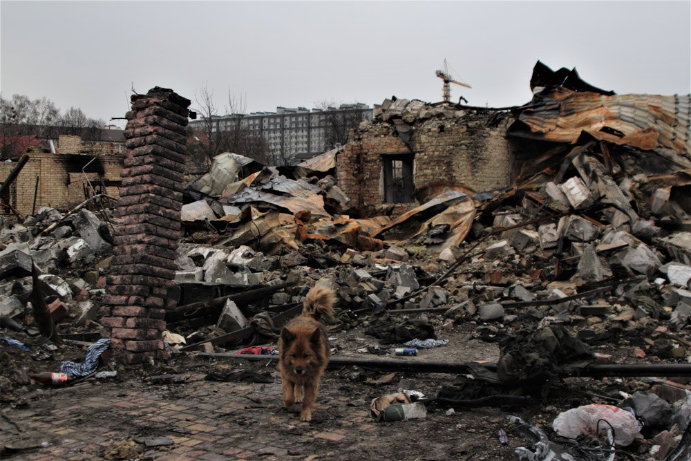 Знищені будинки на Київщині на місці колишніх стоянок росіян