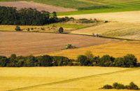 Земне тяжіння. П'ять найамбітніших очікувань агробізнесу в земельній сфері