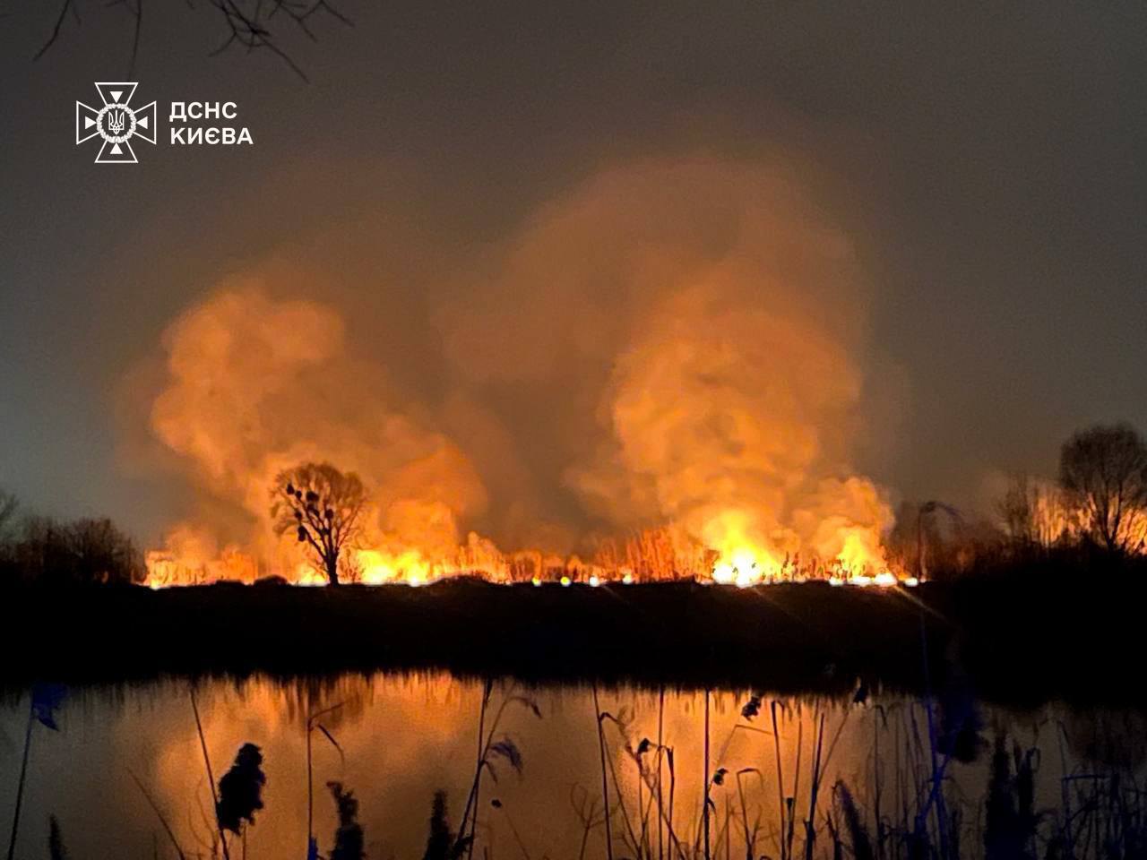 Пожежу поблизу озера Тягле в київському екопарку «Осокорки» ліквідували 