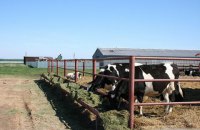 Розвиток аграрного господарства — шлях до успіху: у Гадяцькому районі підтримують сільгоспвиробників 