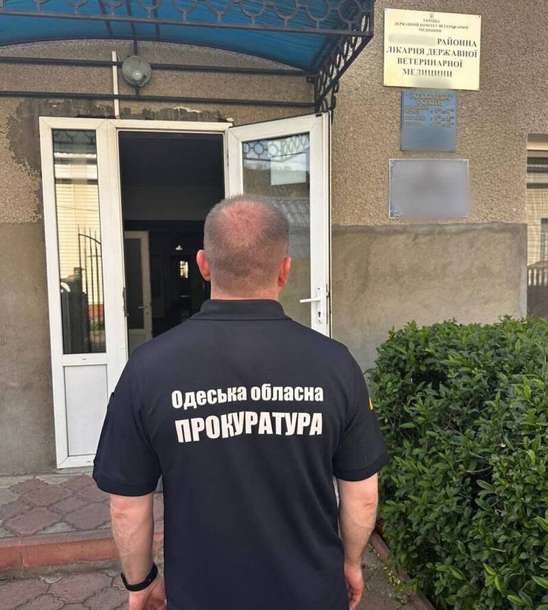 До програми включали переважно фіктивні господарства
