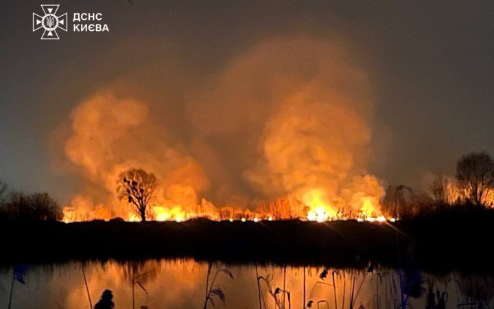 Вогнеборці ліквідували пожежу поблизу озера Тягле, – КМДА