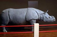 Из бельгийского музея похитили голову носорога