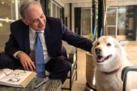 Зеленський проведе переговори з прем'єр-міністром Ізраїлю 19 серпня