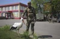 Україна впевнено крокує до перемоги, як на військовому, так і на мовному фронті