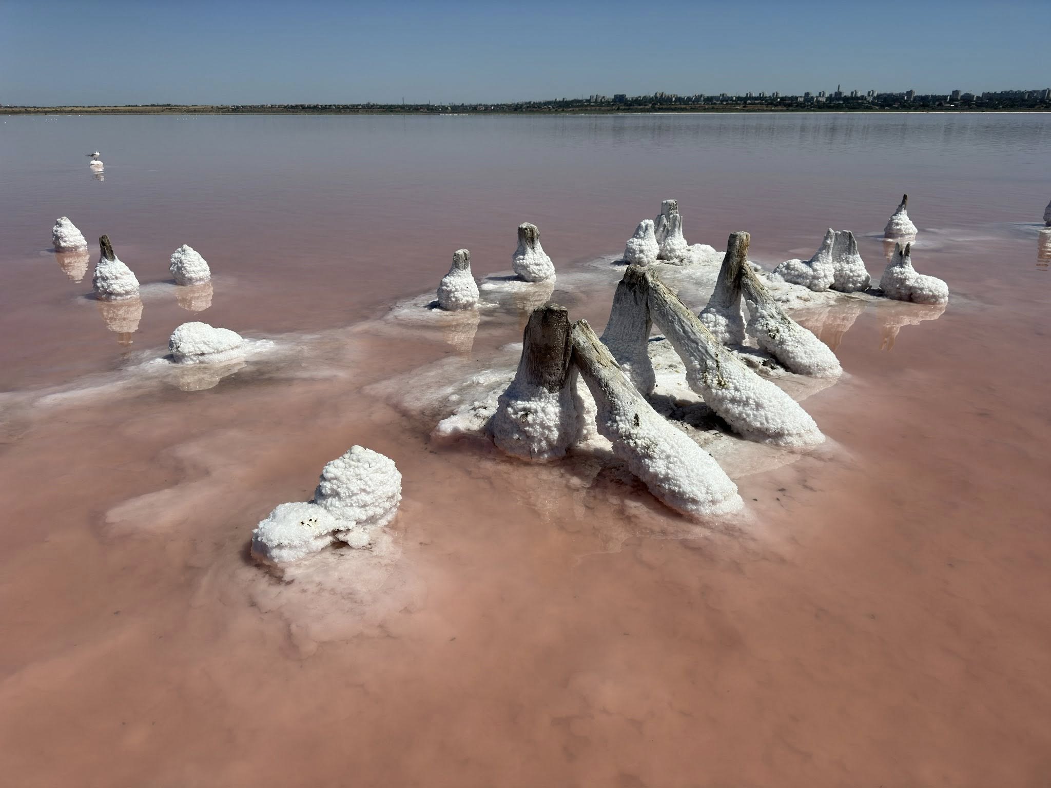 Національний природний парк «Куяльницький» 