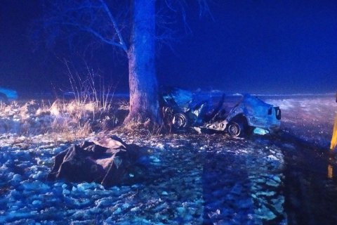 В Житомирской области легковушка влетела в дерево, три человека погибли