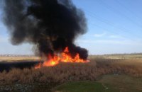 В Николаеве и области за сутки зафиксировали сразу 12 поджогов камыша и травы