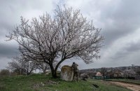 В п'ятницю в Україні прогнозують до 14° тепла, місцями невеликий дощ