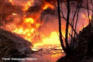 У США лісові пожежі знищили більш ніж 120 будинків