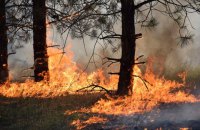 Из-за обстрела боевиков загорелось 30 га леса в Луганской области