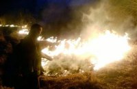 У Житомирській області літнє подружжя загинуло через спалювання сухої трави
