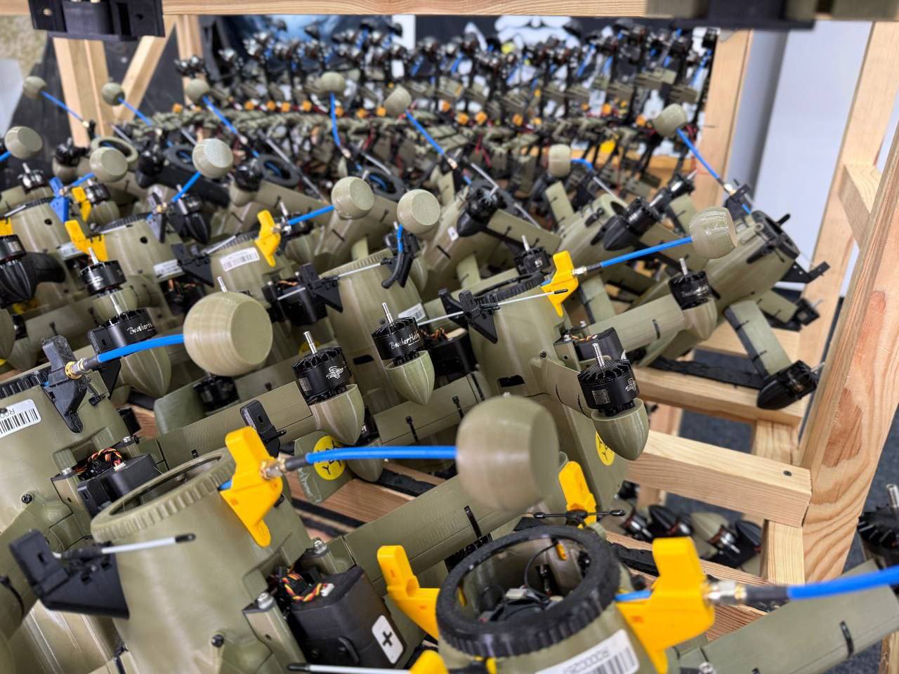 Зенітні дрони від 'Дикі шершні'