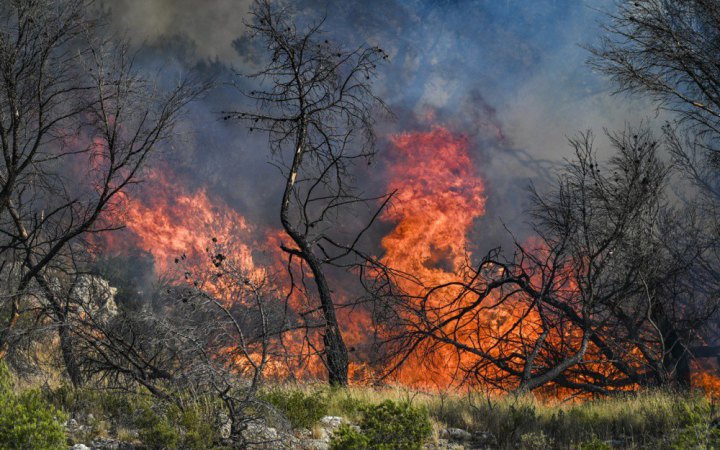 Понад 100 людей постраждали від лісових пожеж біля Марселя