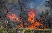 Понад 100 людей постраждали від лісових пожеж біля Марселя