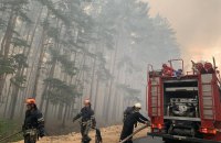 З початку року в Україні згоріли землі площею як Івано-Франківськ 