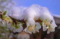 Гідрометцентр: на вихідних в Україні прогнозують заморозки
