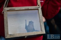 ​У Голосіївському парку в Києві випустили близько 500 кажанів