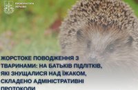 ​У Білій Церкві поліція склала адмінпротоколи на батьків підлітків, які знущалися над їжаком