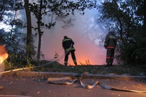 На Херсонщині ніяк не можуть загасити лісову пожежу