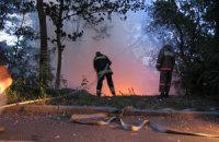 На Херсонщині ніяк не можуть загасити лісову пожежу