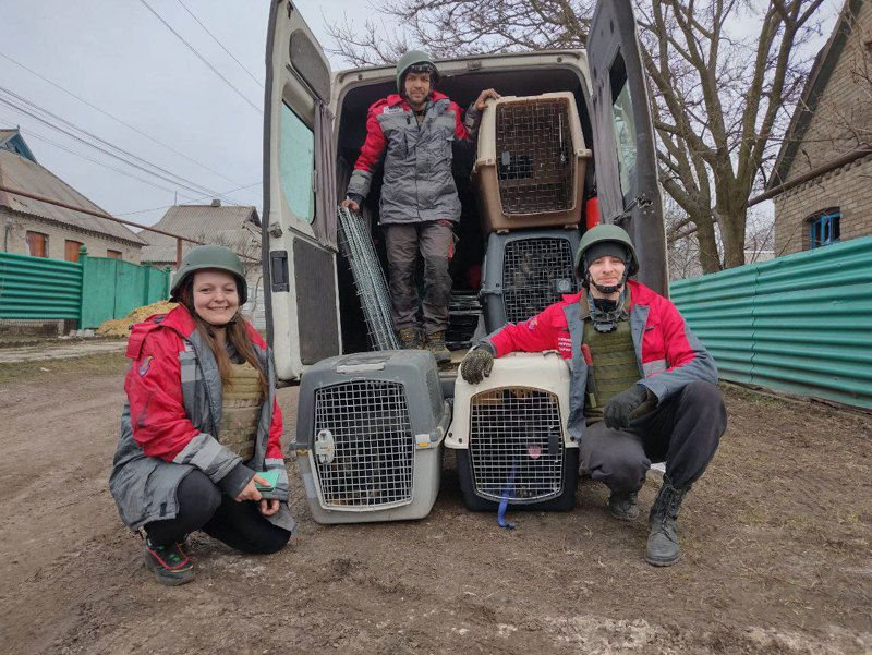 Рятувальники Kyiv Animal Rescue Group
