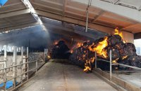 Обстріли Харківщини: одна людина загинула, четверо — поранені