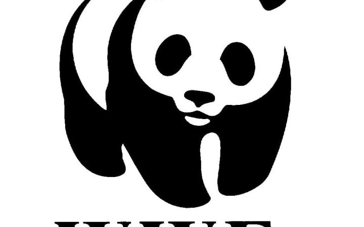 ​У Росії Всесвітній фонд дикої природи оголосили "небажаною організацією"